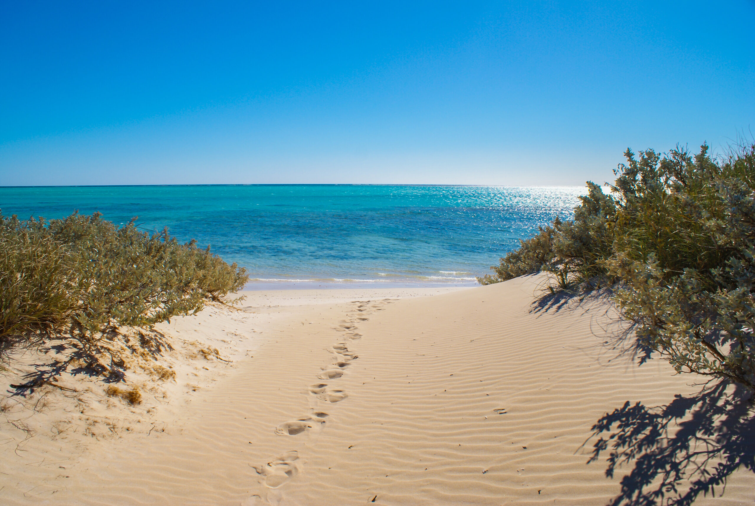 beach and blue sea at cape range national park